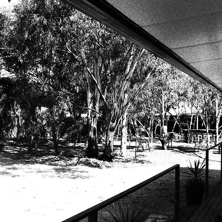 Under The Mount Motel Melrose Eksteriør billede